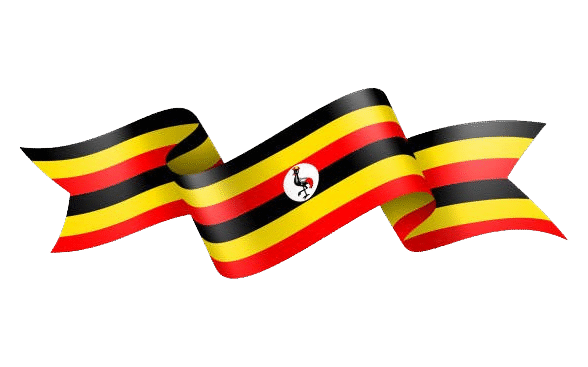 A Complete Guide to Shipping from Kenya to Uganda-2025